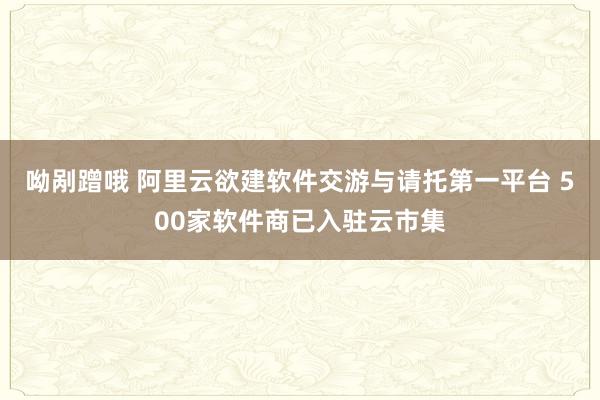 呦剐蹭哦 阿里云欲建软件交游与请托第一平台 500家软件商已入驻云市集