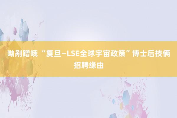 呦剐蹭哦 “复旦—LSE全球宇宙政策”博士后技俩招聘缘由