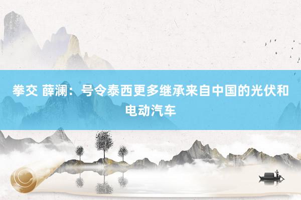 拳交 薛澜：号令泰西更多继承来自中国的光伏和电动汽车