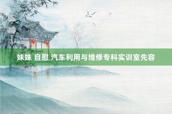 妹妹 自慰 汽车利用与维修专科实训室先容