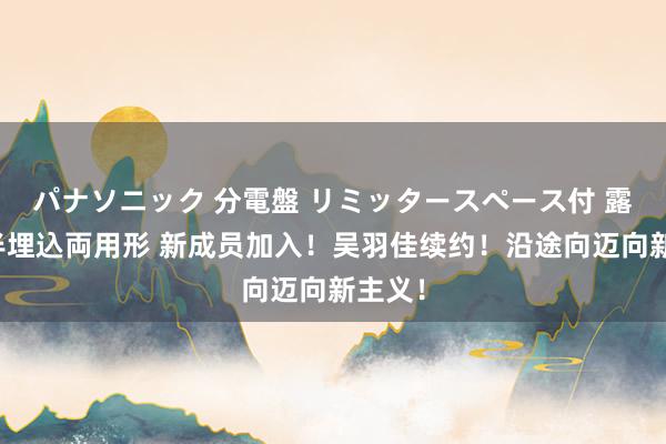 パナソニック 分電盤 リミッタースペース付 露出・半埋込両用形 新成员加入！吴羽佳续约！沿途向迈向新主义！