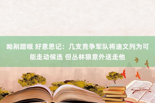 呦剐蹭哦 好意思记：几支竞争军队将迪文列为可能走动候选 但丛林狼意外送走他