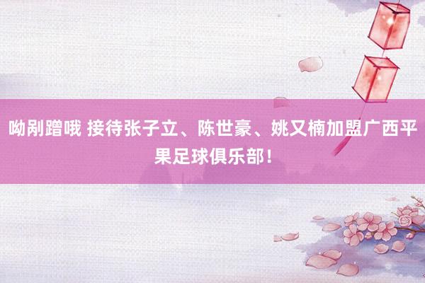 呦剐蹭哦 接待张子立、陈世豪、姚又楠加盟广西平果足球俱乐部！